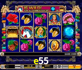 Descubra o Mundo do Cassino Online com e55