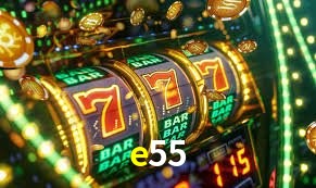 Security Systems e55